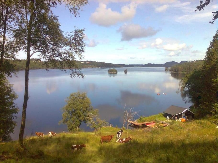 Topfloor Apartment Separate Entranc Nice View Stord Fitjar 외부 사진